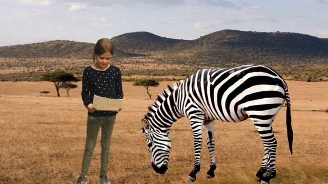 Harper zebra смотреть онлайн
