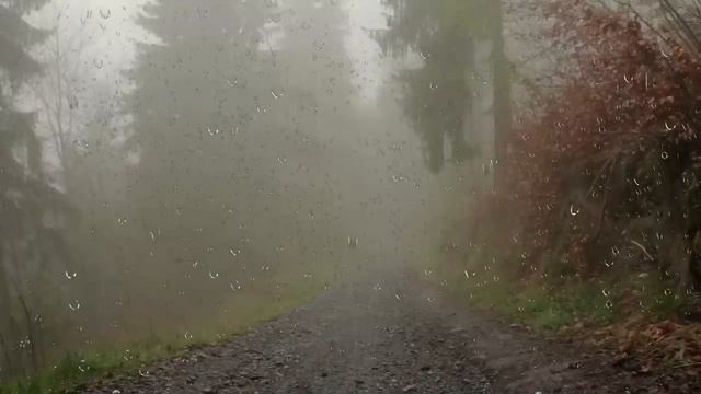 Пассажир. смотреть онлайн