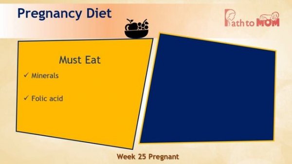 Pregnancy Week By Week | 25 Weeks Pregnant | Pregnancy Stages & Fetal Development | Path to Mom