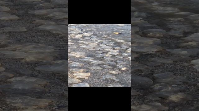 Просто до ФИГА! Впору открывать промысел медуз. Ейск. смотреть онлайн