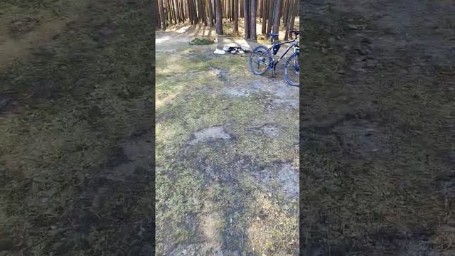 речка смотреть онлайн