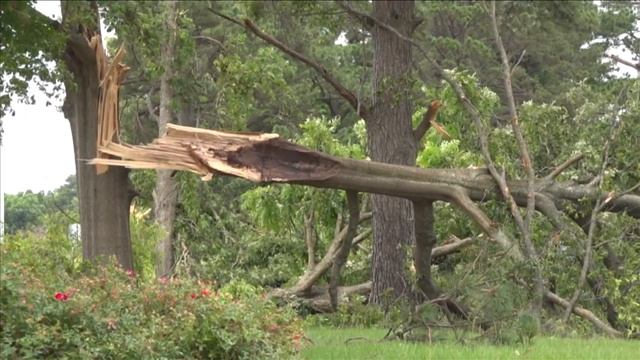Sunday morning storms bring damaging wind to the Mid-South смотреть онлайн