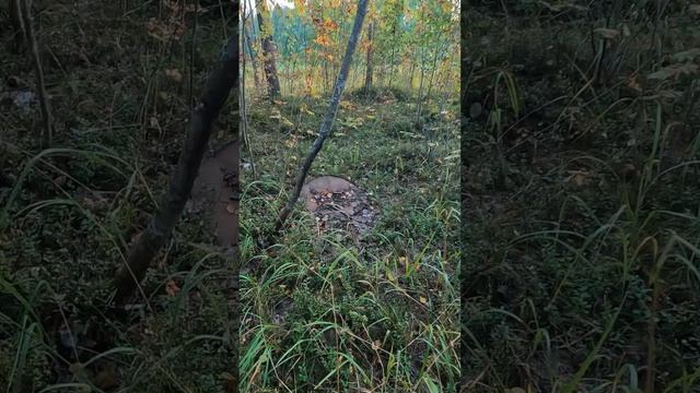 Когда рад любой Находке смотреть онлайн