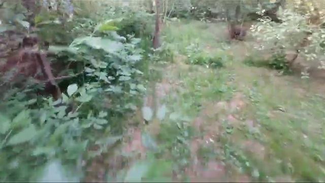Отдых 2 Любимая дача смотреть онлайн
