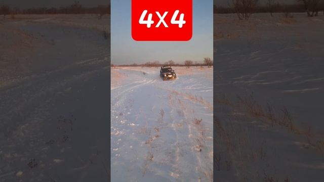 НИВА МОЖЕТ смотреть онлайн