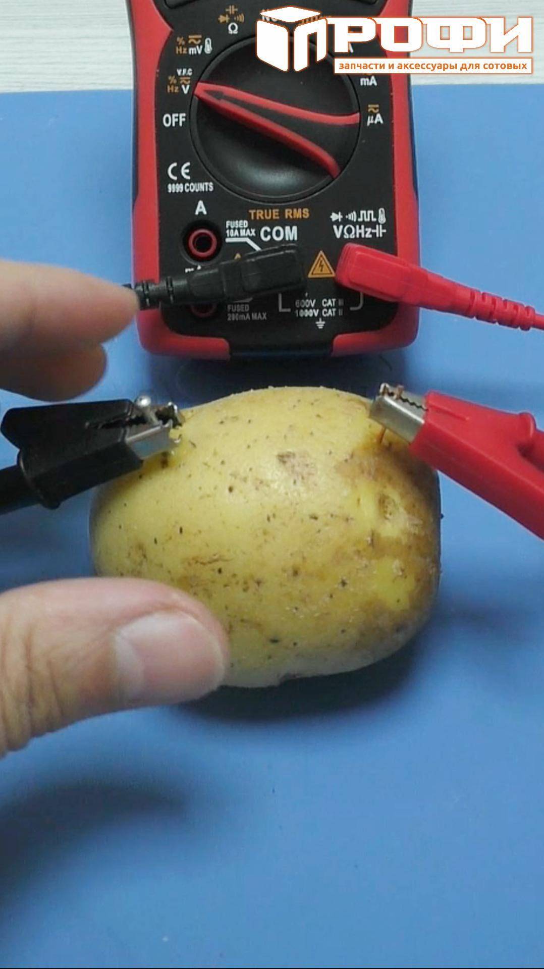 Сколько электричества в картошке? смотреть онлайн