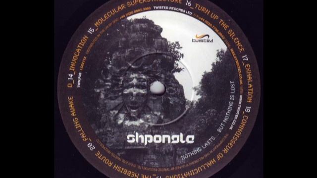 Shpongle - The Nebbish Route (Side D6)
