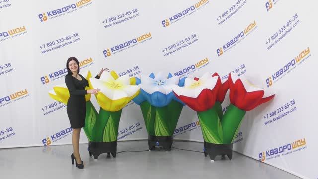Оформление цветами - Надувной букет цветов – Цветы для украшения сцены. Как быстро украсить праздник смотреть онлайн