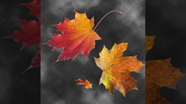 Все они © Copyright: Бронислав Сычёв, 2022
Свидетельство о публикации №122091102226 смотреть онлайн