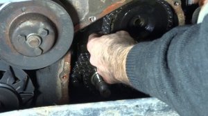 С новым годом! [всем #атшахи посоны]