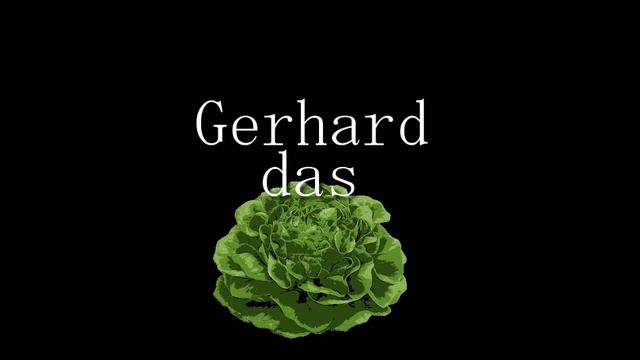Gerhard das Salat - Die große Suche смотреть онлайн