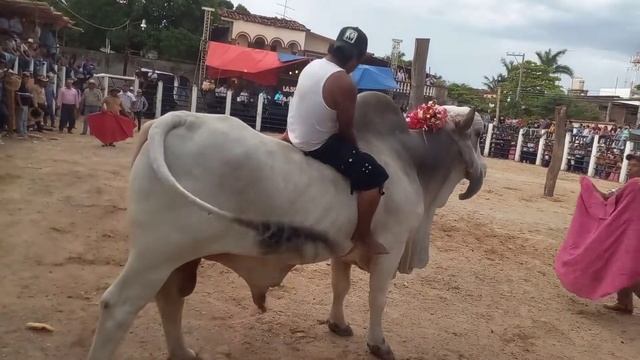 toreada en ixtaltepec 2022 la monta del chemo dia del padre смотреть онлайн