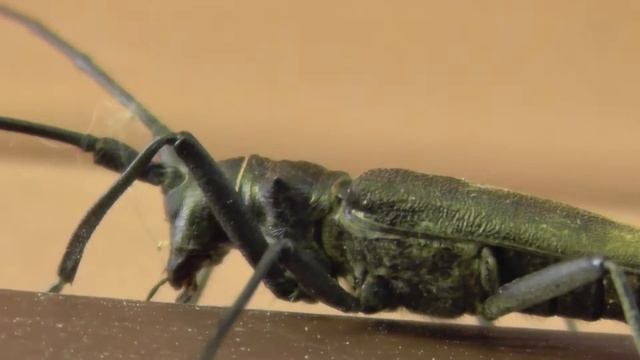 Альпинист смотреть онлайн