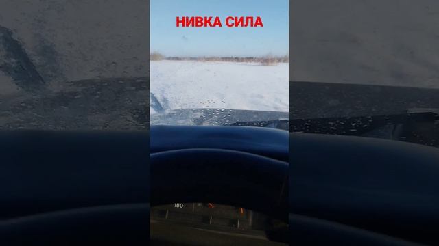 нива 4×4 на 29 колесах смотреть онлайн