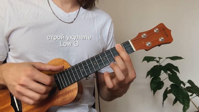 Boney M. - Rasputin ukulele fingerstyle смотреть онлайн