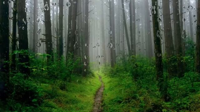 Семья ведьм. смотреть онлайн