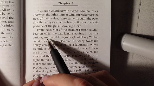 Study English and relax | Учи английский и отдыхай | OSCAR WILDE The Picture of Dorian Gray смотреть онлайн