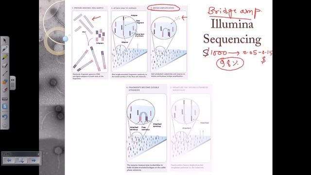 Illumina sequencing | DNA sequencing by synthesis смотреть онлайн
