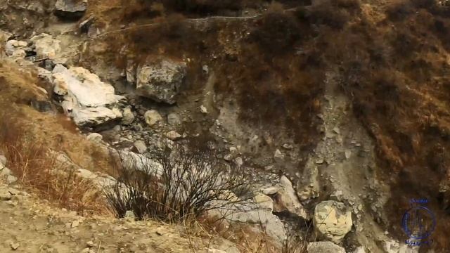LANGTANG TREK MARCH 2024 смотреть онлайн
