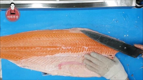 아하부장의 지겨운 영상 나도 안 봄 연어손질