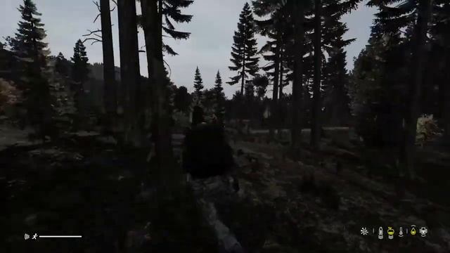 Basically DayZ lol смотреть онлайн
