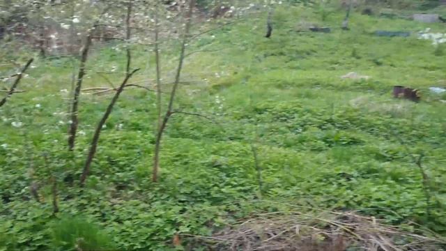 Шикарный земельный участок в Подзавалье! смотреть онлайн