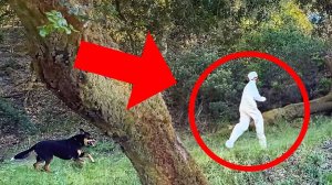 Как Скрыться От Собаки Ищейки