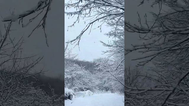 Зимняя сказка смотреть онлайн