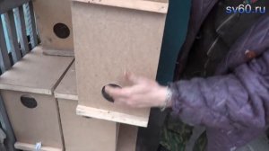 Ящики для пчелопакетов