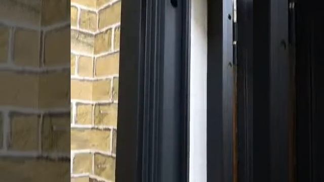 Барокко входная дверь с зеркалом и атмосфероустойчивым мдф смотреть онлайн