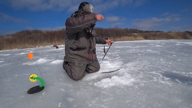 "жерлицы: щука на мелкого живца". Хороший улов, полюбившийся пруд. смотреть онлайн