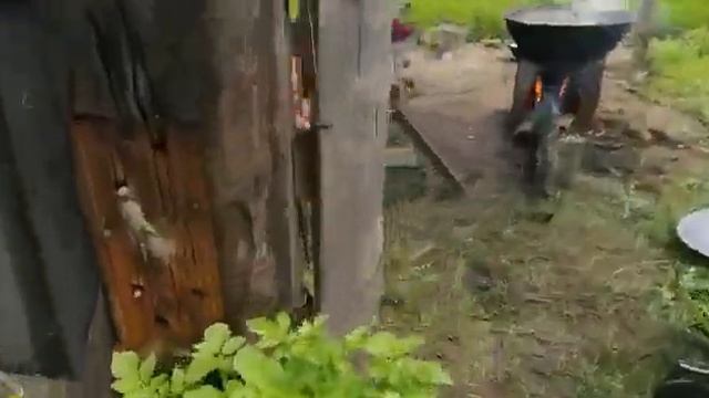 город чита плов узбекский смотреть онлайн