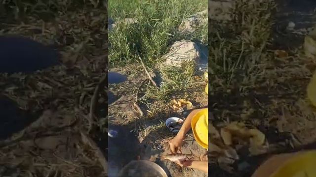 КЫЗЫЛОРДА😱 смотреть онлайн