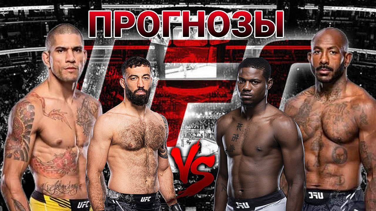 АЛЕКС ПЕРЕЙРА Vs ХАЛИЛ РАУНТРИ ПРОГНОЗ на UFC | АЛЬДО Vs БАУТИСТА ПРОГНОЗ НА БОЙ ДОЛИДЗЕ Vs ХОЛЛАНД