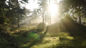 Медитация для начинающих - Урок 2. Как правильно медитировать в домашних условиях!