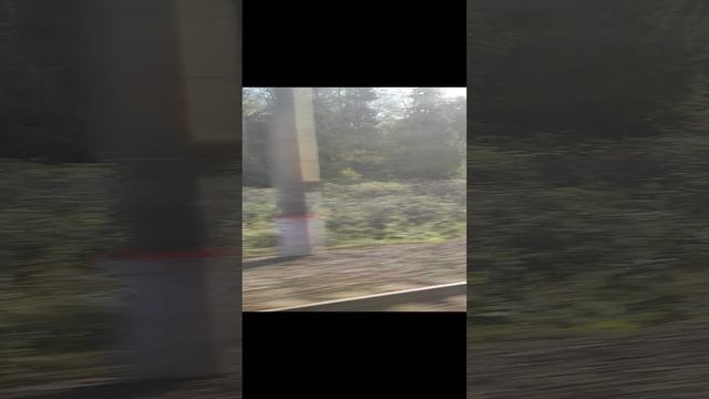 Поезд мчится в Ярославль.... смотреть онлайн