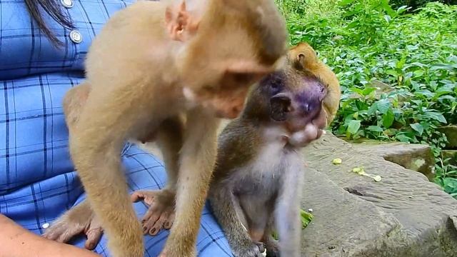 Thank mom KT spend time to feed Nancy eat enough, Happy for little Nancy is much better than before смотреть онлайн