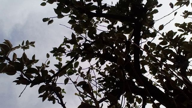 20241002_102840.mp4 смотреть онлайн