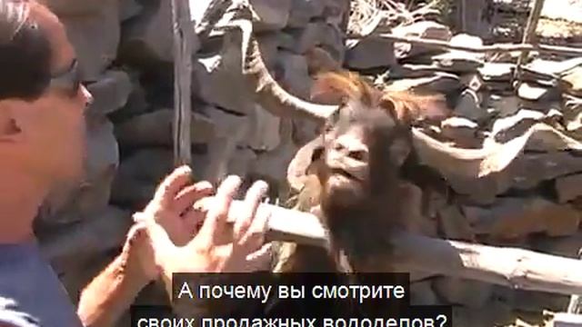 Игрок Арматы говорит с игроком World of Tanks смотреть онлайн