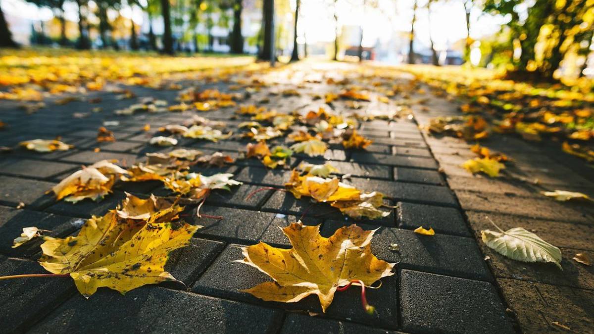 Важные законы октября 2024 года: военные, пенсионеры, бюджетники, автолюбители, кредиты и др. смотреть онлайн