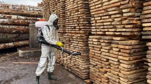 Фумигация древесины