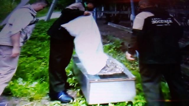 Северные олени в зоопитомнике московского зоопарка.