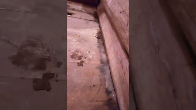 Баня,полы через год смотреть онлайн