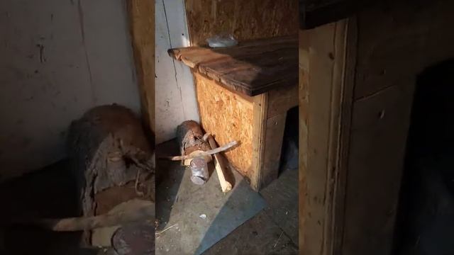Дом на колесах смотреть онлайн