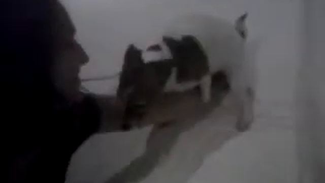Lucy humps my arm смотреть онлайн
