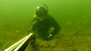 Подводная охота Бывает и такое