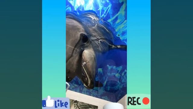 Плюсы минусы натяжных потолков от Империя Потолков 🔥0553444666 смотреть онлайн