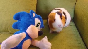 Свинка Бузя против Монстра: Борьба с Sonic.exe у нашего дома!