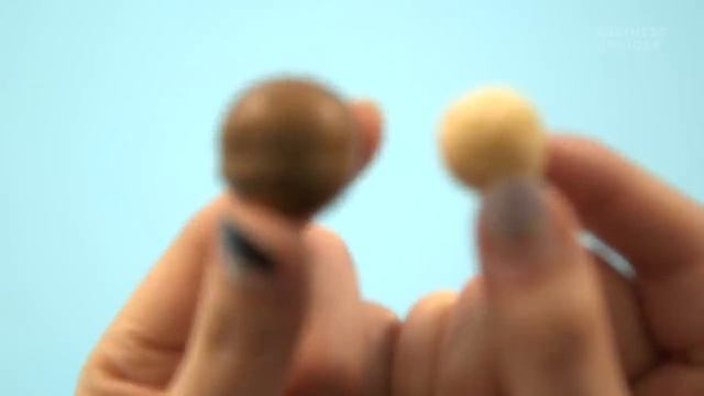 Why Macadamia Nuts Are So Expensive смотреть онлайн