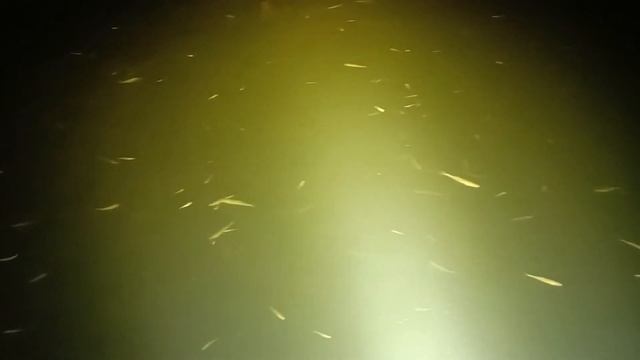 sofirn sd05 XHP50.2 6500k смотреть онлайн